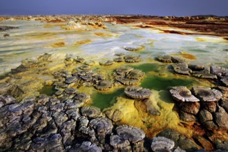 Vivid colors and volcanic formations in the geothermal area of Dallol with hot springs, Dallol,