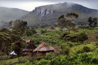 Lush landscape of the Bale Mountains with traditional huts and mountains, Bale Mountains, Ethiopia