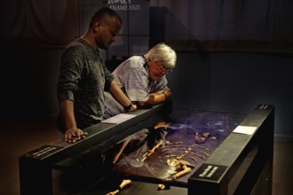 People look at the skeleton of Ardi in the National Museum in Addis Ababa, Addis Ababa, Ethiopia