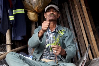 Market scene in Mercato, Addis Ababa. A man points thumbs up while offering plants, Addis Ababa,