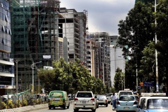 Urban street with trees flanked by modern buildings, Addis Ababa, Ethiopia