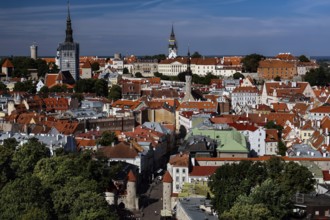 Panorama of Old Tallinn with church towers and historic buildings, blue sky, Tallinn, Harju,