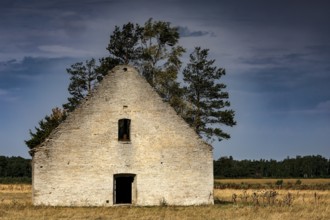 Abandoned farmhouse in Vihula surrounded by nature and trees, Vihula, Estonia