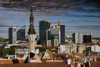 View of Tallinn's skyline with historic and modern buildings from the Kohtuotsa observation deck,