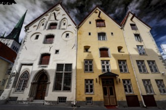 Three historic houses in Tallinn's Old Town on Long Road, Tallinn, null, Estonia
