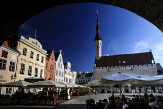 Old Town of Tallinn with a view of the lively Town Hall Square, Rathausplatz, Rathausplatz and