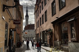 View from Mündi Tänav of Tallinn's Town Hall and Gothic buildings, Tallinn, zero, Estonia