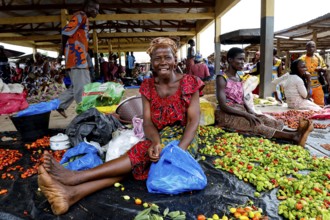 Woman sitting smiling at a market surrounded by colorful vegetables and other goods, Brobo, Côte