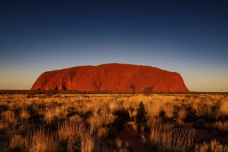 Uluru in warm colors just in front of sunset in the Australian Outback, Uluru, Northern Territory,