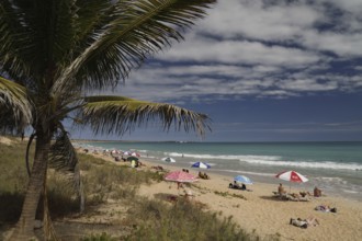 Beach day with coconut trees and colorful umbrellas on Cable Beach, Broome, Western Australia,
