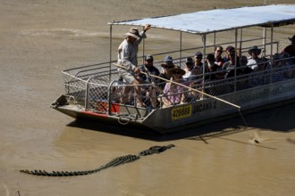 Boat trip on the Adelaide River with a crocodile swimming nearby, Adelaide River, Northern