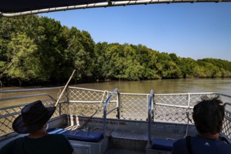 Jungle surrounded boat trip on Adelaide River under clear skies, Adelaide River, Northern