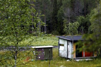 Bear watching hut in the green forest of Kuusamo, Kuusamo, Finland