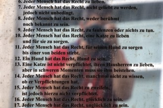 Presentation of the Constitution of Užupis on glass, reflecting in a window display, Vilnius,