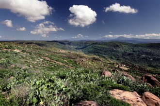 Extensive hilly landscape with clouds and vegetation in Babile, Babile, Ethiopia