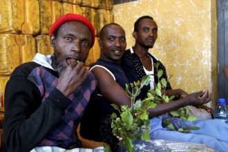 Two men consume khat in a relaxed atmosphere, Babile, Ethiopia