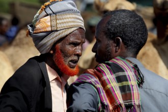 Merchants have a conversation at the colorful camel market in Babile, surrounded by herds of