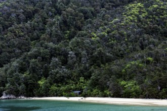 Forest and beach along the Abel Tasman Coast with refreshing water, zero