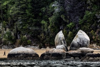 The iconic Split Apple Rock rises on the coast, Abel Tasman National Park, New Zealand