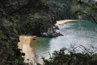 Secluded beach of the Abel Tasman Coast Track with thick vegetation, zero