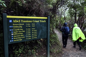 Hikers pass an Abel Tasman Coast Track sign in the thick forest, zero