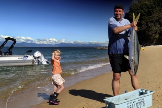 A man keeps a big fish on the beach in Appletree Bay, Abel Tasman National Park, South Island, New