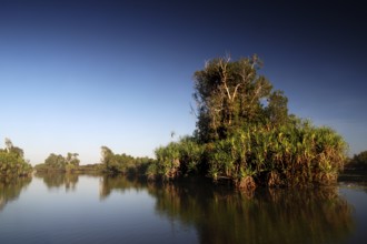 Lush trees and reflections on calm water in the Yellowwaters in Kakadu National Park, Kakadu