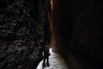 Narrow path through the high, shady walls of Echidna Chasm in Purnululu National Park, Purnululu