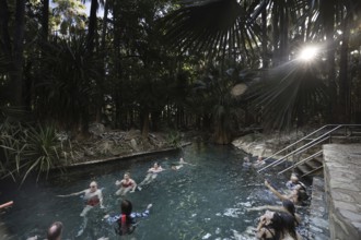People swimming in hot springs surrounded by lush greenery and sunlight, Mataranka, Northern