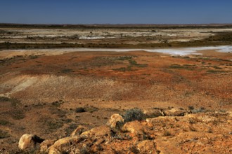 OFF Dalhousie Springs, Salt Lake