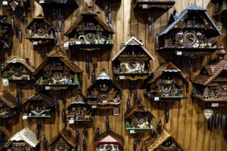 Traditional gift shop with cuckoo clocks on wooden walls in Hahndorf, Hahndorf, South Australia,