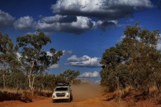 A car is driving on a dusty road between trees under a blue sky with clouds, zero