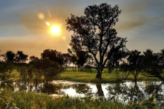 The sunset bathes the landscape in Kakadu National Park, Kakadu National Park, Northern Territory,