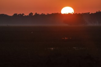 An intense sunrise turns the sky in Kakadu National Park, Kakadu National Park, Northern Territory,