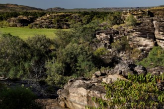 Wide rocky landscape with lush vegetation at Nardab Lookout, Ubirr, Northern Territory, Australia