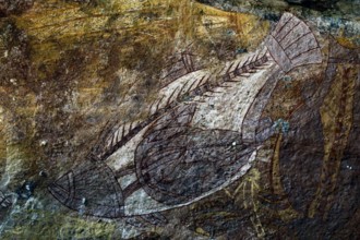 Traditional rock painting of a fish in Ubirr, Kakadu National Park, Ubirr, Northern Territory,