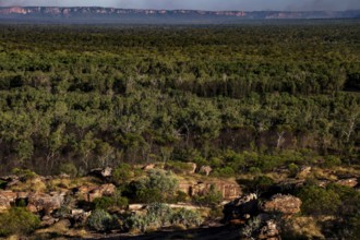 Dense green forests stretch across rocky landscape in Kakadu National Park, Nawurlandia, Arnhem