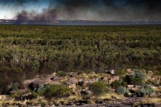 Extensive landscape with thick vegetation and smoke on the horizon in Kakadu National Park, Kakadu