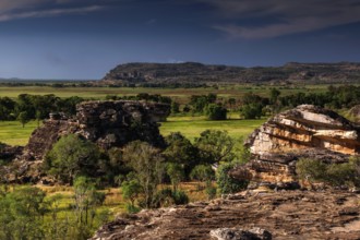 Impressive view of the lush nature of Kakadu National Park, Ubirr, Kakadu National Park, Northern