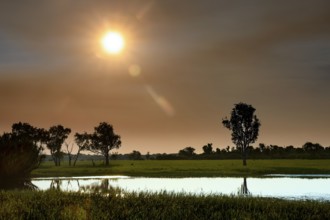 Idyllic sunset scene over Yellow Waters, Kakadu National Park, with reflecting water, Yellow Water,