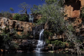 Waterfall in Galvans Gorge surrounded by rocks and green vegetation, Galvans Gorge, Australia