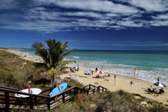 Beach with coconut trees, wooden walkway and colorful umbrellas on Cable Beach, Broome, Western