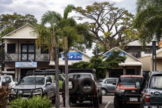 Street scene with cars and palm trees in Broome, Carnarvon Street, Broome, Australia