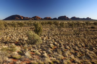 View of the Olgas from afar across an arid plain, Kata Tjuta, Northern Territory, Australia