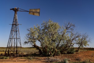 Wind turbine next to a sprawling tree under a clear blue sky in the outback, zero