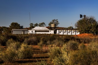Old Andado Station building surrounded by desert vegetation in the Australian Outback, Old Andado