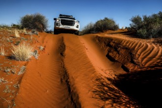 Off-road vehicle drives on sandy track through Simpson Desert, Simpson Desert, Australia