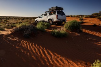 Off-road vehicle drives over sandy dunes in Simpson Desert, Simpson Desert, Australia