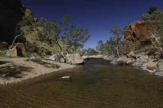 Clear water with trees and rocks in Simpson Gap under bright blue sky, Simpson Gap, Northern