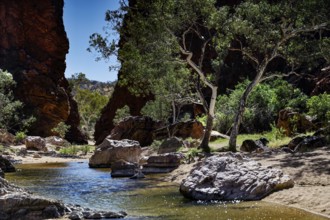 River with surrounding trees and rocks in an idyllic gorge, Simpson Gap, Northern Territory,